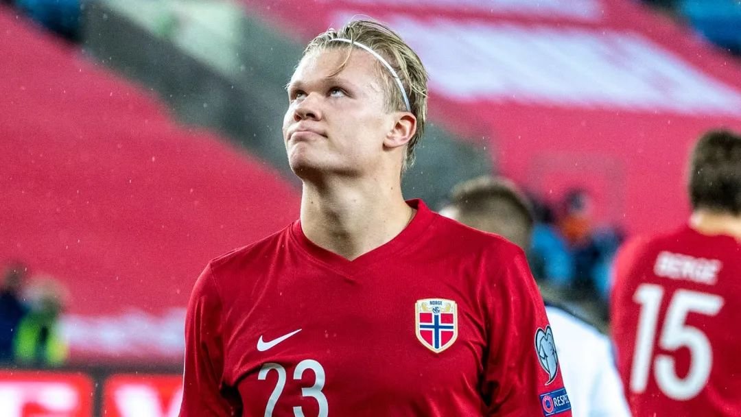 教练组应将 教练组应将