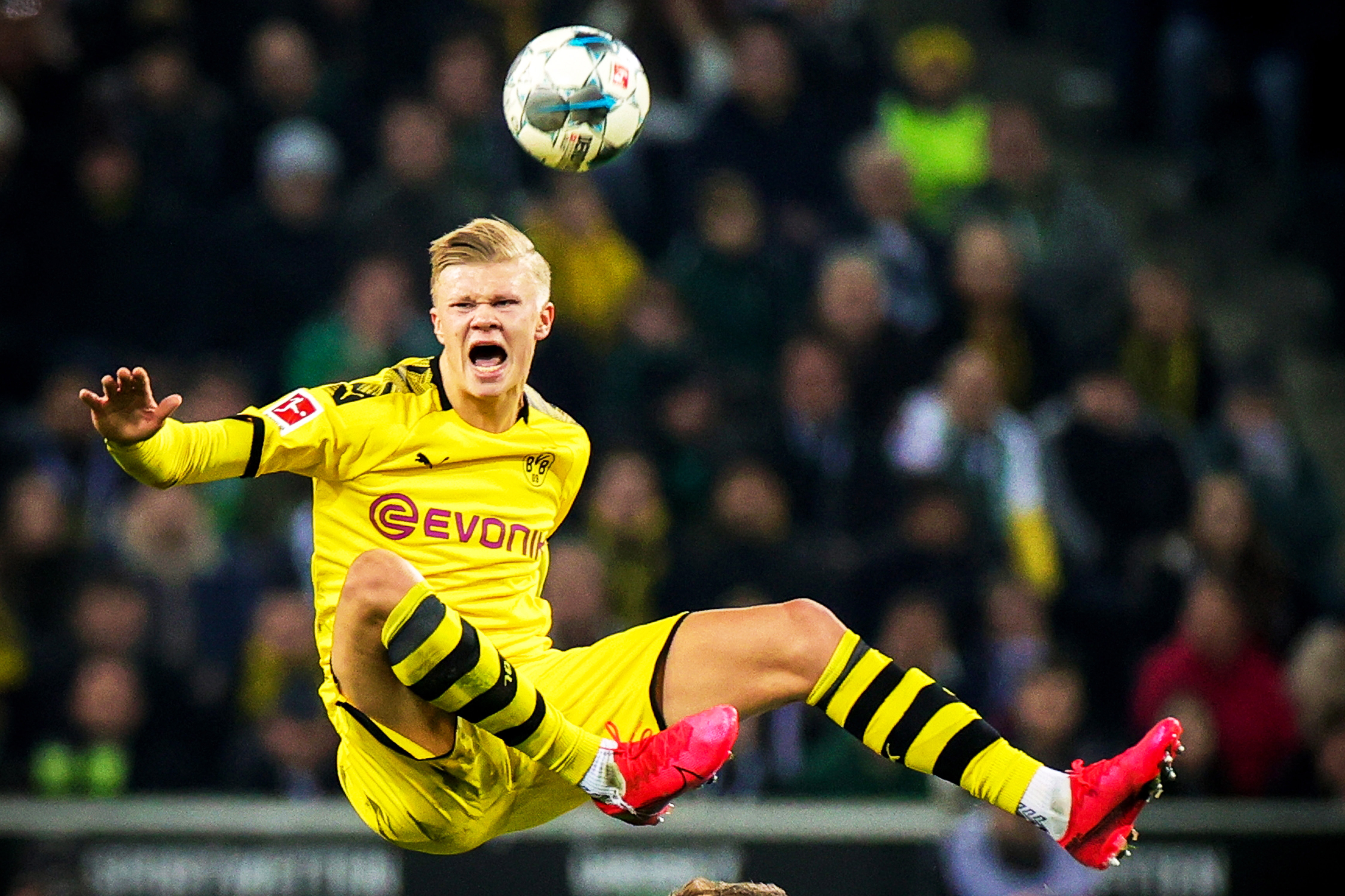 休眠玩家因 休眠玩家因